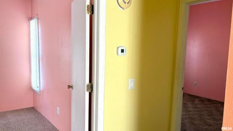 Tiny photo for 306 W PLUM Street, Percy, IL 62272 (MLS # EB458959)