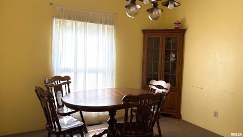 Tiny photo for 306 W PLUM Street, Percy, IL 62272 (MLS # EB458959)