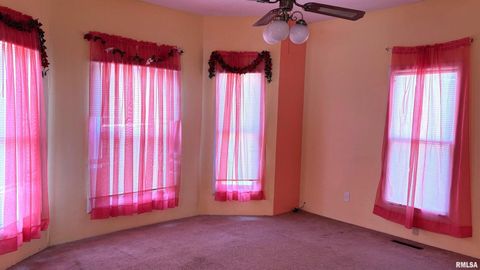 Tiny photo for 306 W PLUM Street, Percy, IL 62272 (MLS # EB458959)