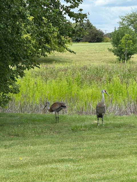 Tiny photo for 12597 Oak Grove Drive, Huntley, IL 60142 (MLS # 12574590)