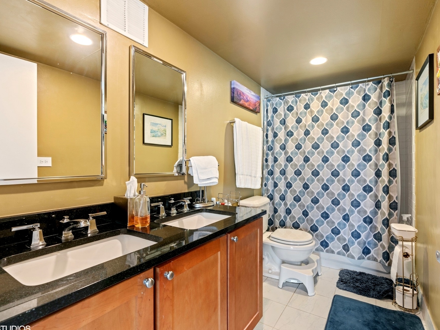 3110 N Sheridan Road 1802