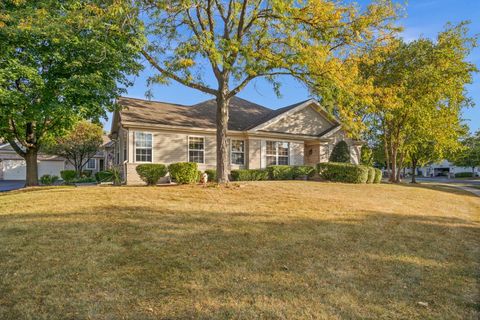 Photo of 20965 W Snowberry Lane, Plainfield, IL 60544 (MLS # 12541625)