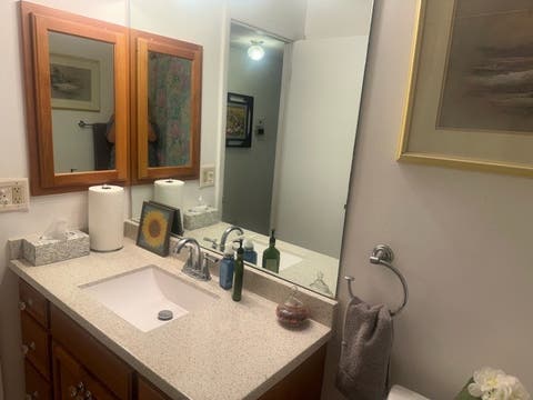 Tiny photo for 353 Lambert Drive #D-1, Schaumburg, IL 60193 (MLS # 12698219)