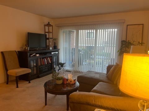 Tiny photo for 353 Lambert Drive #D-1, Schaumburg, IL 60193 (MLS # 12698219)