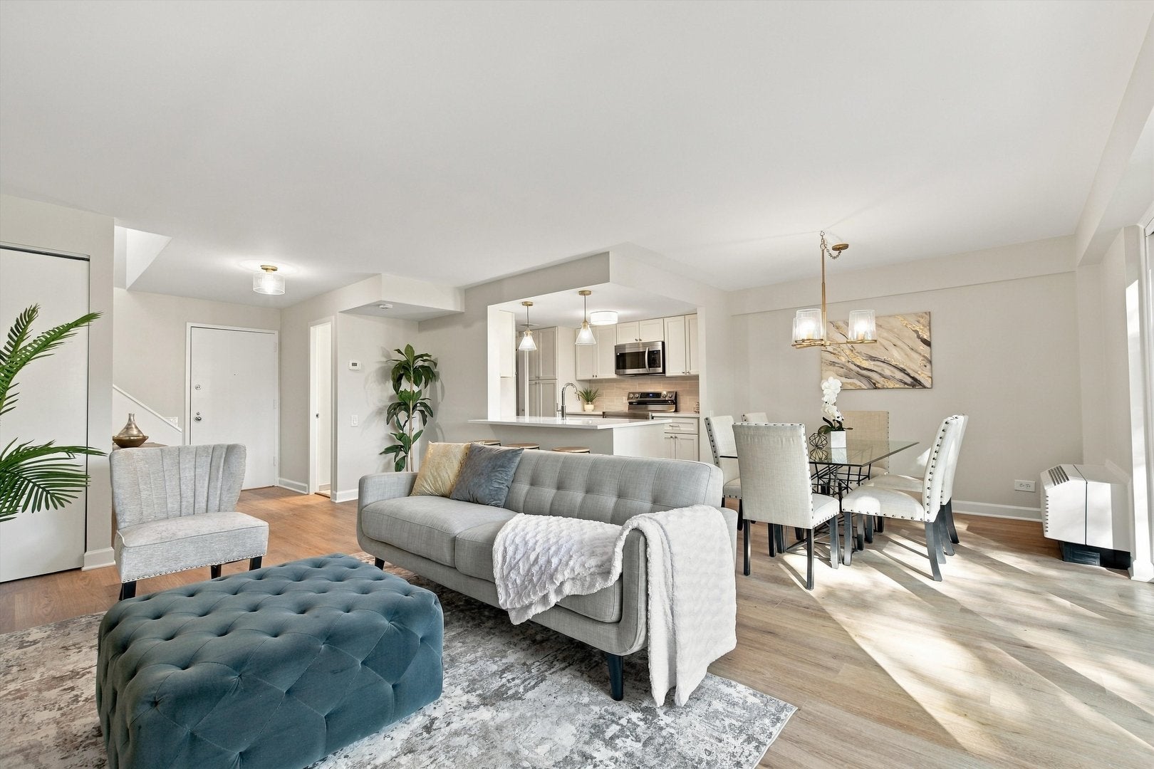 1169 S Plymouth Court 105
