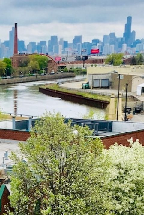 Tiny photo for 2222 W Diversey Avenue #407, Chicago, IL 60647 (MLS # 12450329)