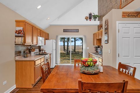 Tiny photo for 302 N Canal Street, Newark, IL 60541 (MLS # 12525035)