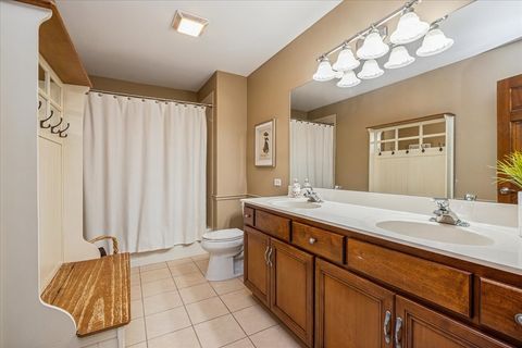 Tiny photo for 21726 Higley Lane, Frankfort, IL 60423 (MLS # 12548663)