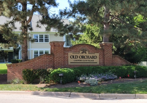 Tiny photo for 1311 Nutmeg Court #B, Mount Prospect, IL 60056 (MLS # 12693690)