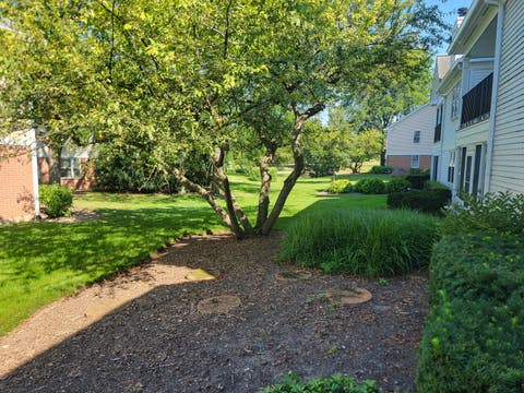 Tiny photo for 1311 Nutmeg Court #B, Mount Prospect, IL 60056 (MLS # 12693690)