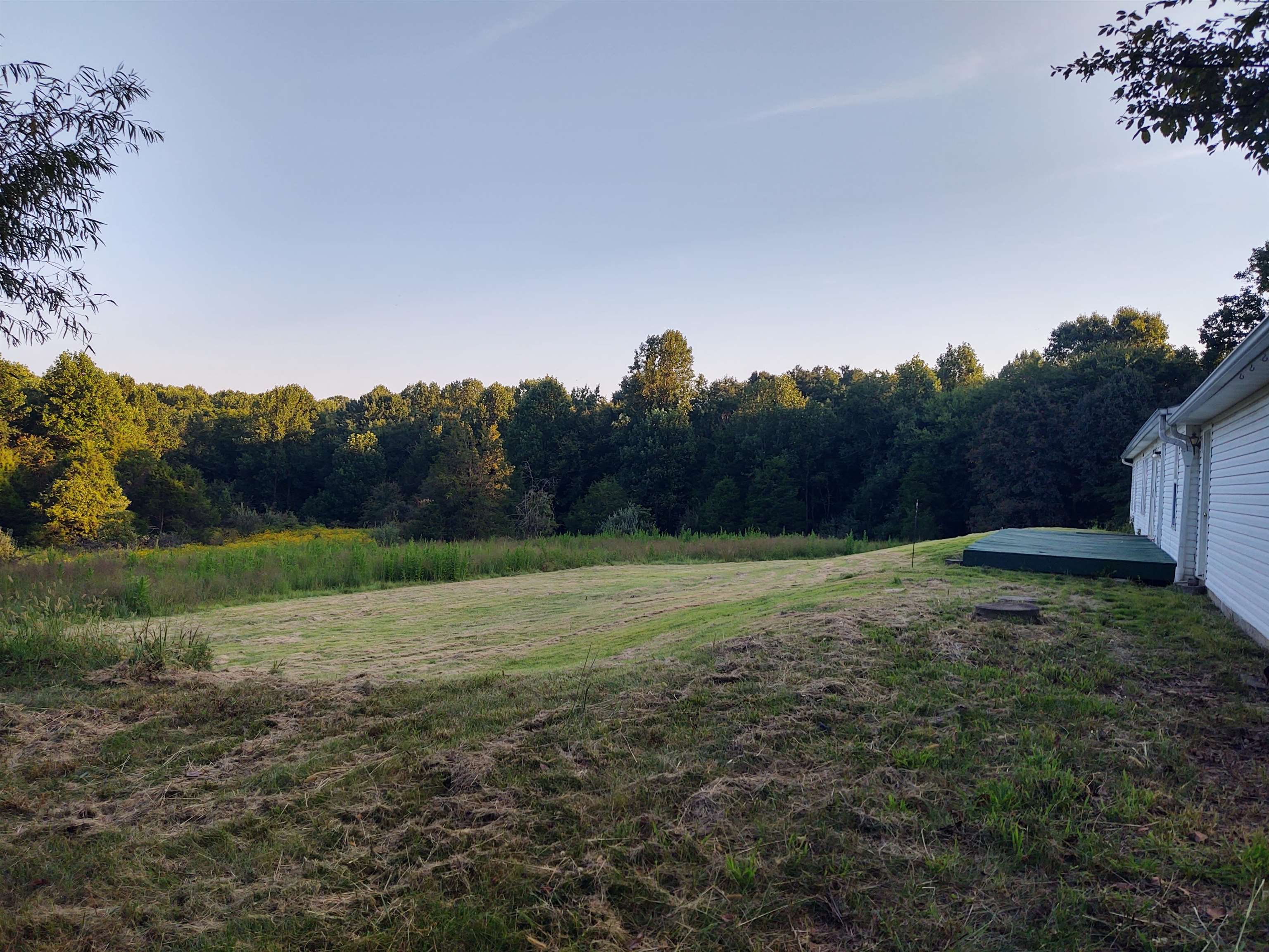 923 Ozark Road