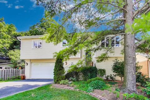 Tiny photo for 111 S Brighton Place, Arlington Heights, IL 60004 (MLS # 12608398)