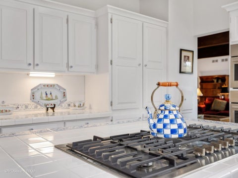 Tiny photo for 6024 Sedgley Court, Burr Ridge, IL 60527 (MLS # 12749649)