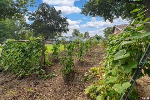 Tiny photo for 540 E MAIN Street, Duquoin, IL 62832 (MLS # EB459112)