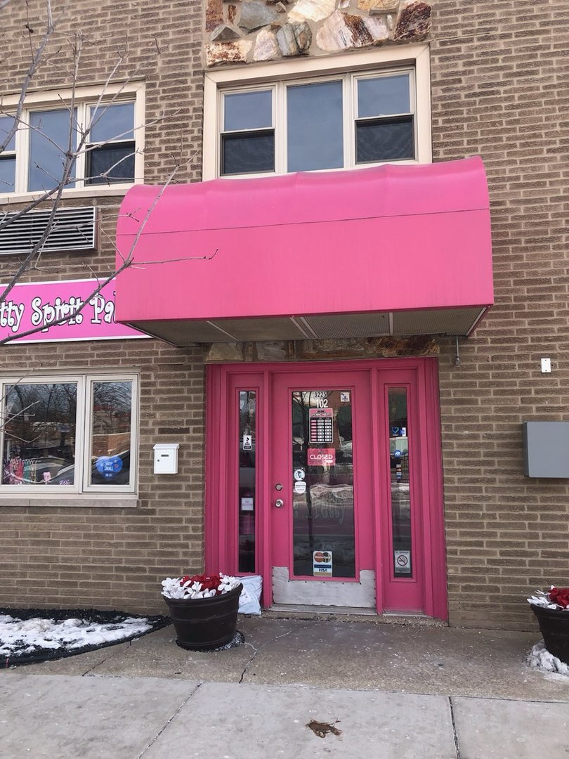 Photo 1 of 16 — 3225 W 111th Street 101-102, Chicago, IL 60655