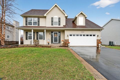 Photo of 25560 S Mallard Drive, Channahon, IL 60410 (MLS # 12603138)