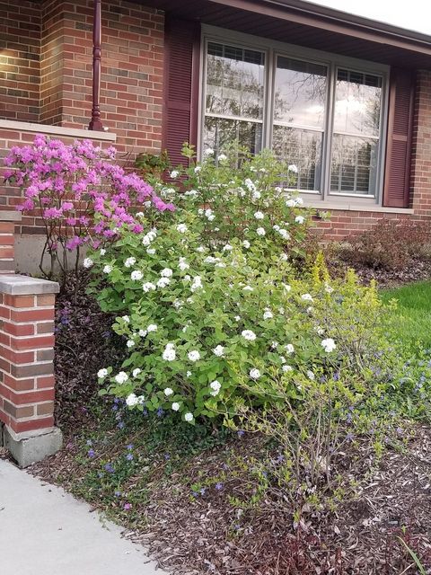 Tiny photo for 1095 Lancaster Court, Hoffman Estates, IL 60169 (MLS # 12567013)