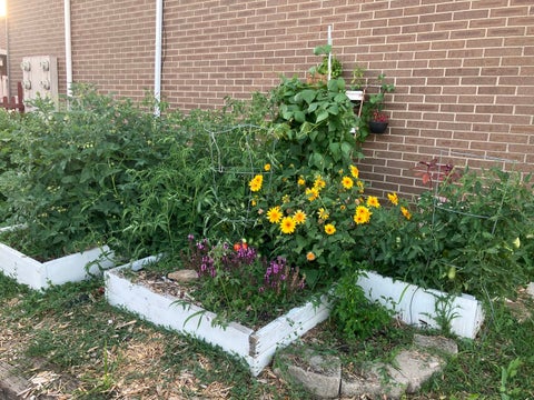 Tiny photo for 613 E 3rd Street #3, Lockport, IL 60441 (MLS # 12711166)