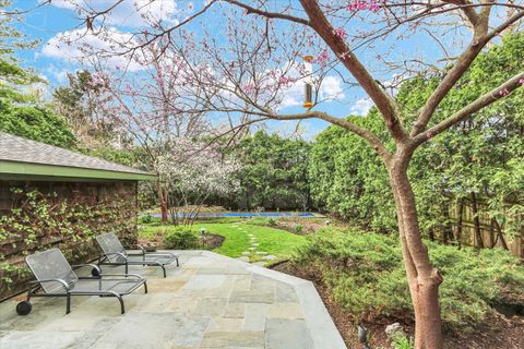 Tiny photo for 1009 W Hill Street, Champaign, IL 61821 (MLS # 12586651)