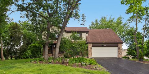 Photo of 816 Bonnie Brae Lane, Bolingbrook, IL 60440 (MLS # 12672625)