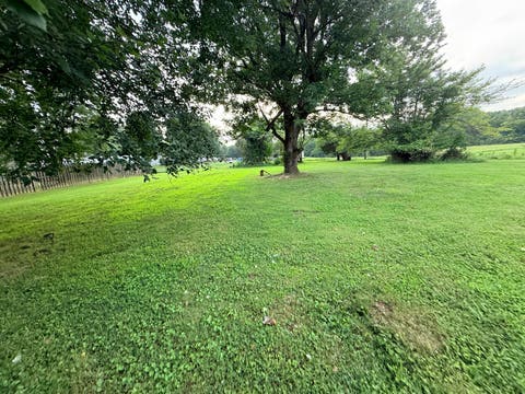 Tiny photo for 9799 Highway 127 Highway, Murphysboro, IL 62966 (MLS # 12733876)