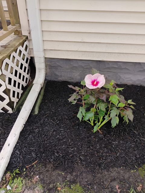 Tiny photo for 103 W Cherokee Avenue W, Shabbona, IL 60550 (MLS # 12377793)