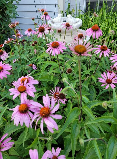 Tiny photo for 1447 Club Drive #A, Glendale Heights, IL 60139 (MLS # 12617068)