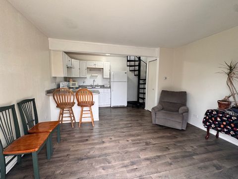 Tiny photo for 28 Jamaica Colony #3, Fox Lake, IL 60020 (MLS # 12622712)