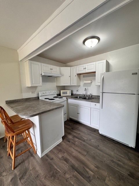 Tiny photo for 28 Jamaica Colony #3, Fox Lake, IL 60020 (MLS # 12622712)