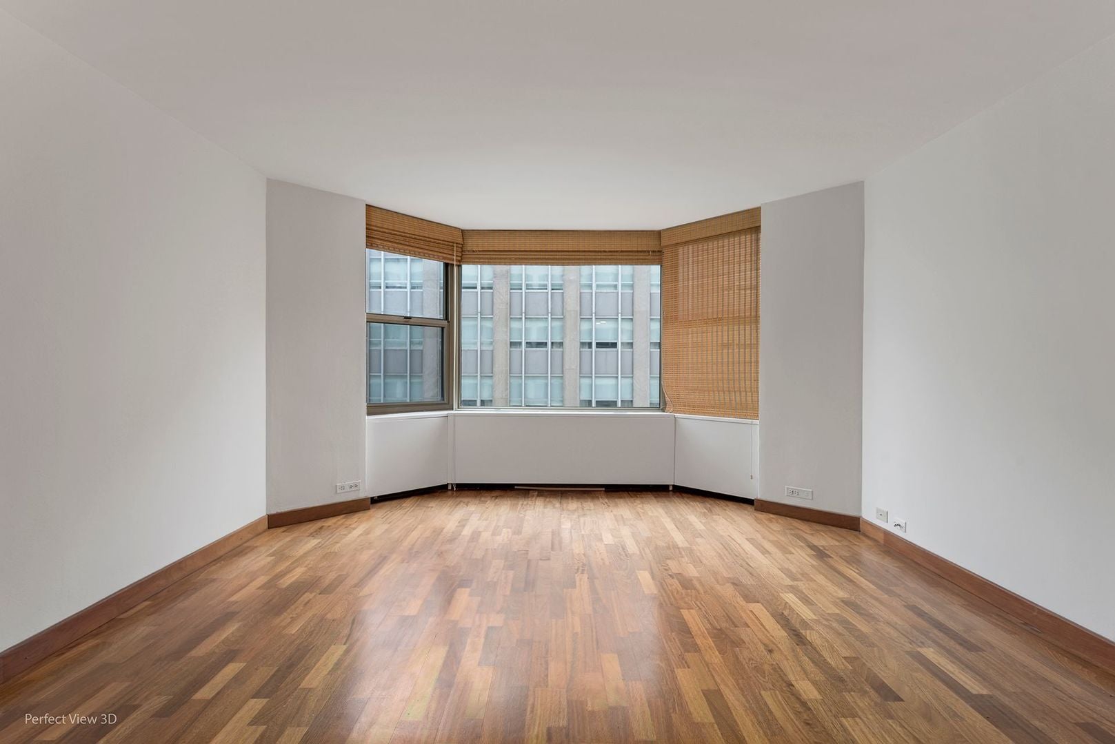 535 N Michigan Avenue 2503