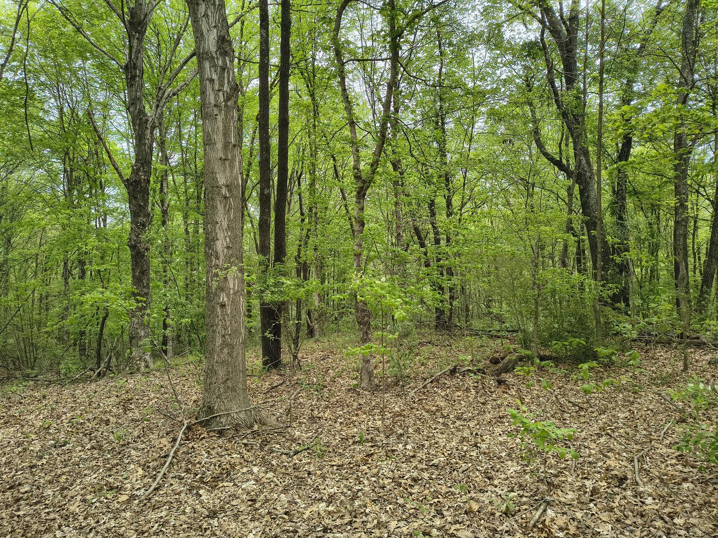 1875 Pleasant Woods Circle
