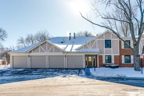 Photo of 1157 Middlebury Lane #B1, Wheeling, IL 60090 (MLS # 12533234)