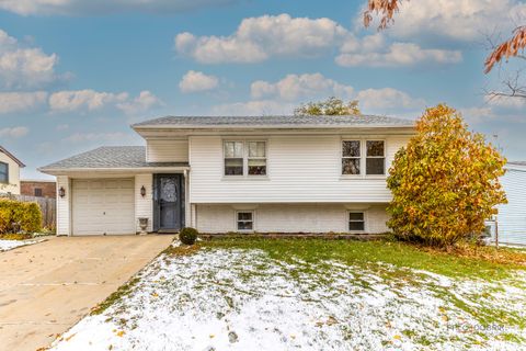 1096 Beechwood Road Buffalo Grove IL 60089