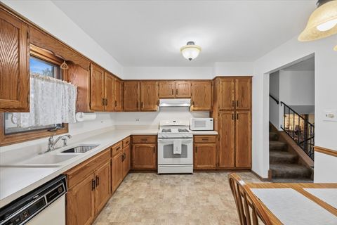 Tiny photo for 8845 Wheeler Drive, Orland Park, IL 60462 (MLS # 12585730)