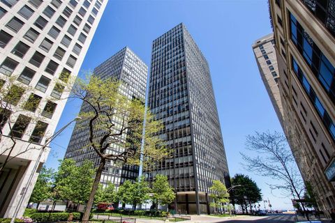 860 N Lake Shore Drive 5M Chicago IL 60611
