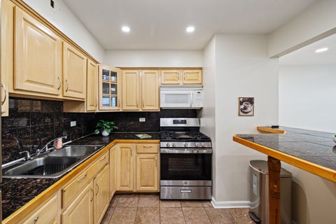 Tiny photo for 929 S Oak Park Avenue #3NW, Oak Park, IL 60304 (MLS # 12748975)