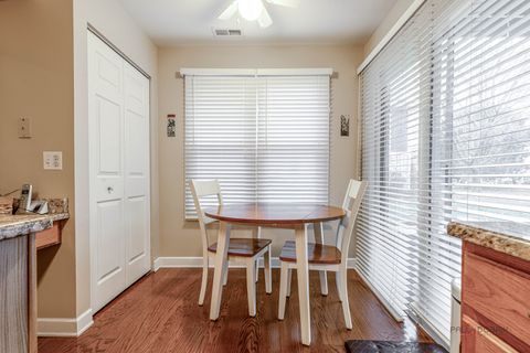 Tiny photo for 193 hemingway Court, Vernon Hills, IL 60061 (MLS # 12535130)