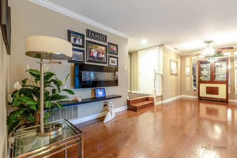 Tiny photo for 193 hemingway Court, Vernon Hills, IL 60061 (MLS # 12535130)