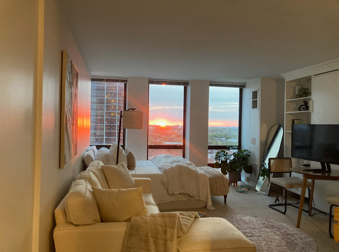 1660 N LaSalle Drive 1204