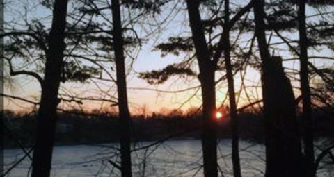 Tiny photo for 234 Indian Trail, Lake In The Hills, IL 60156 (MLS # 12622335)