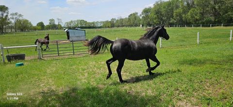 Tiny photo for 691 N State Route 1 17, Momence, IL 60954 (MLS # 12579392)