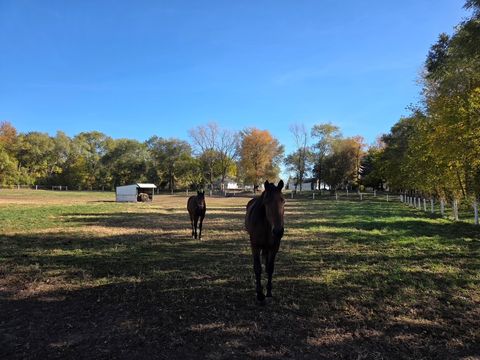 Tiny photo for 691 N State Route 1 17, Momence, IL 60954 (MLS # 12579392)