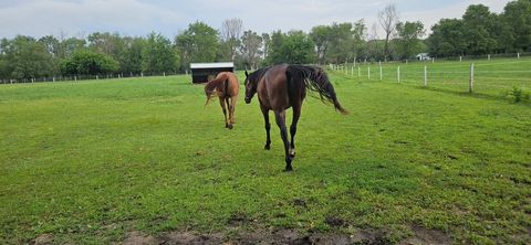 Tiny photo for 691 N State Route 1 17, Momence, IL 60954 (MLS # 12579392)