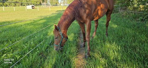 Tiny photo for 691 N State Route 1 17, Momence, IL 60954 (MLS # 12579392)