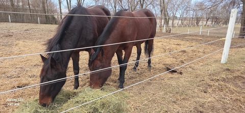 Tiny photo for 691 N State Route 1 17, Momence, IL 60954 (MLS # 12579392)