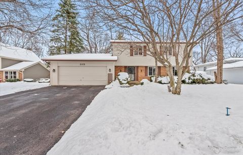 Photo of 315 Leeds Court, Naperville, IL 60565 (MLS # 12522045)