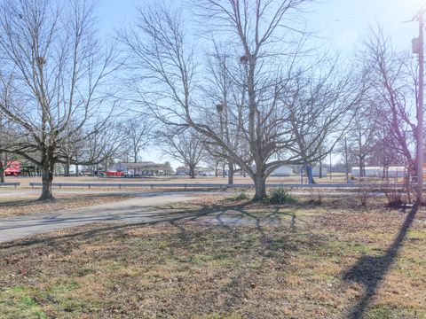 Tiny photo for 7 Birch Lane, Villa Grove, IL 61956 (MLS # 12549547)