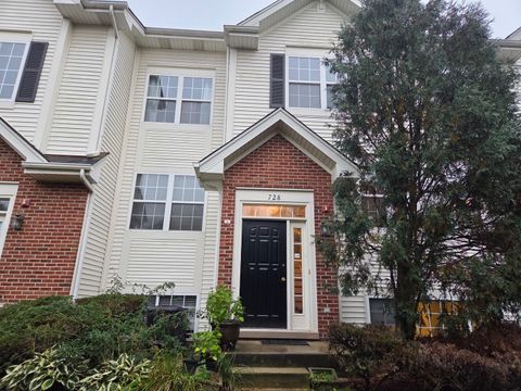 728 River Walk Drive Wheeling IL 60090