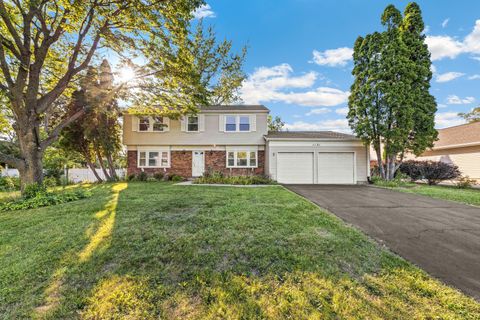 1121 Belmar Lane Buffalo Grove IL 60089