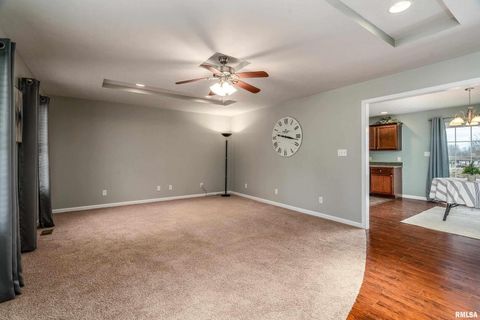 Tiny photo for 1101 CALIFORNIA Street, Carterville, IL 62918 (MLS # EB460810)